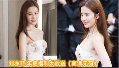 性网-超清视频全集