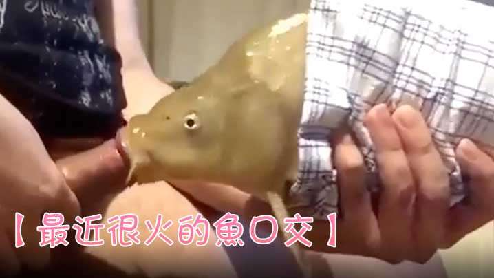 完美的妻子5韩剧-vip电视剧在线播放