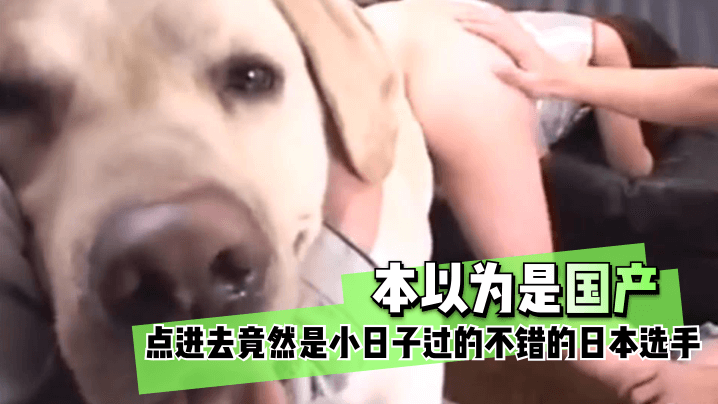 希岛爱理av免费一区二区-百度成人直接看