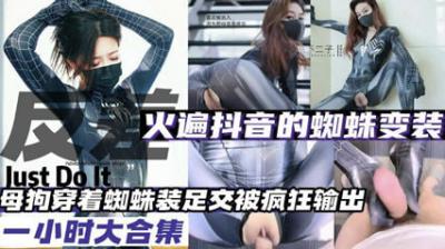 欧美一级毛视频免费播放-bt磁力天堂字幕高清版在线观看