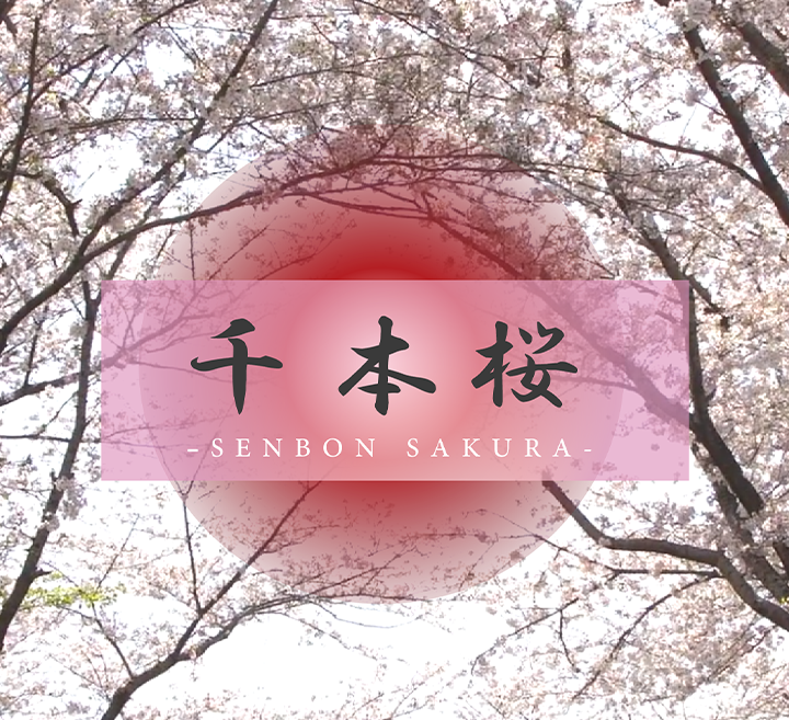 操国产老骚熟女-清晰版视频网址大全